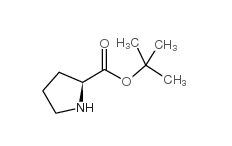 阿图什H-Pro-OtBu CAS号：2812-46-6