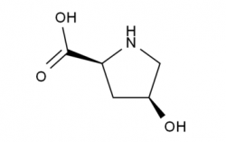 阿图什H-Hyp-OH