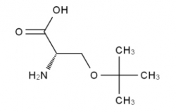 H-Ser(tBu)-OH